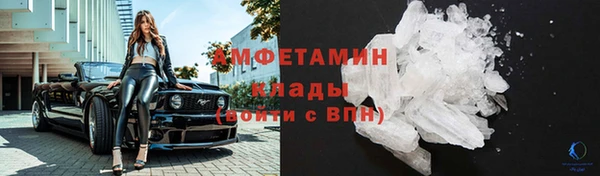 стаф Магас