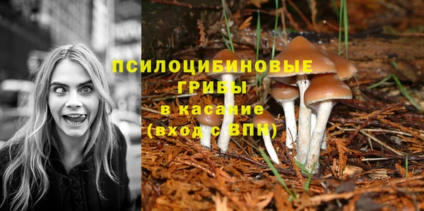прущая мука Магадан