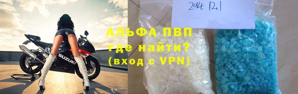 стаф Магас