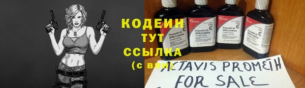 стаф Магас