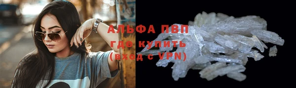 стаф Магас