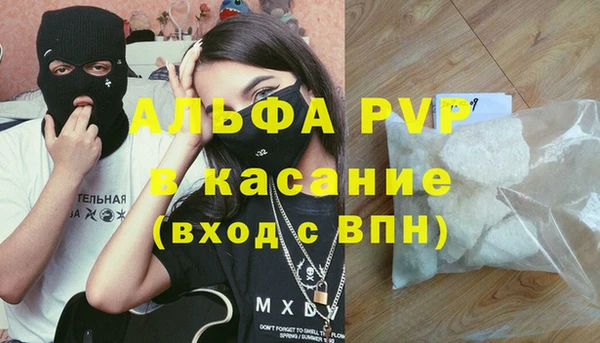 стаф Магас