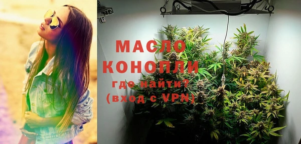 стаф Магас