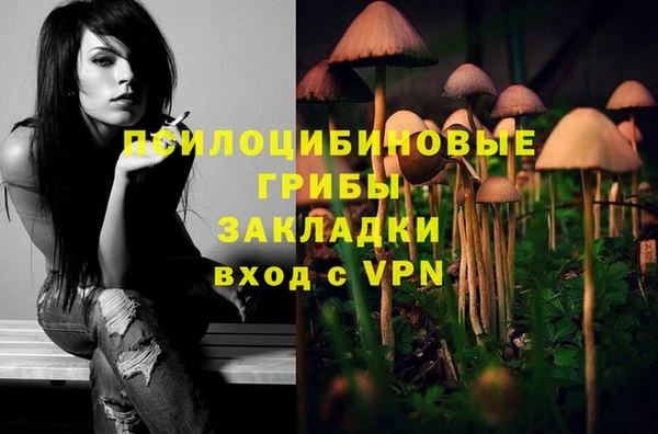 бошки Горняк