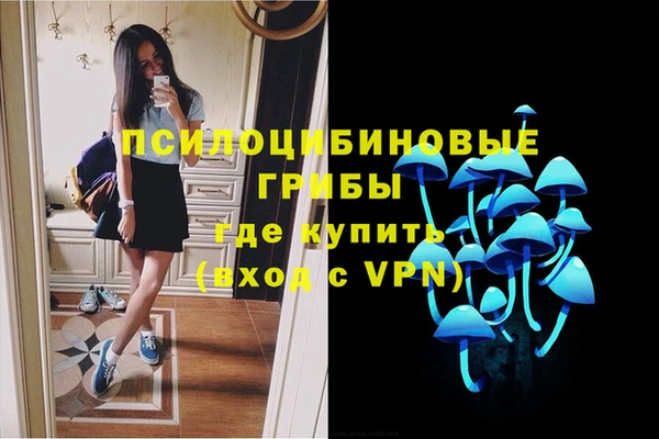 соль ск Майский