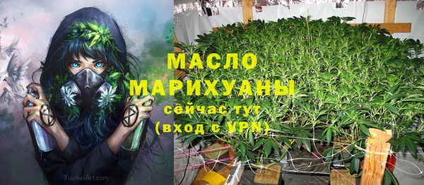 стаф Магас