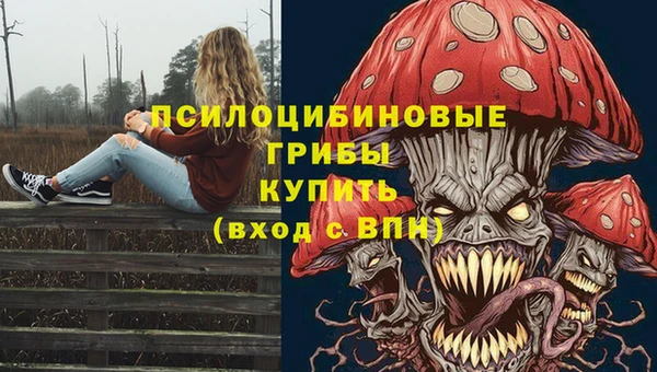 соль ск Майский