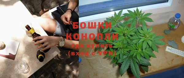 стаф Магас